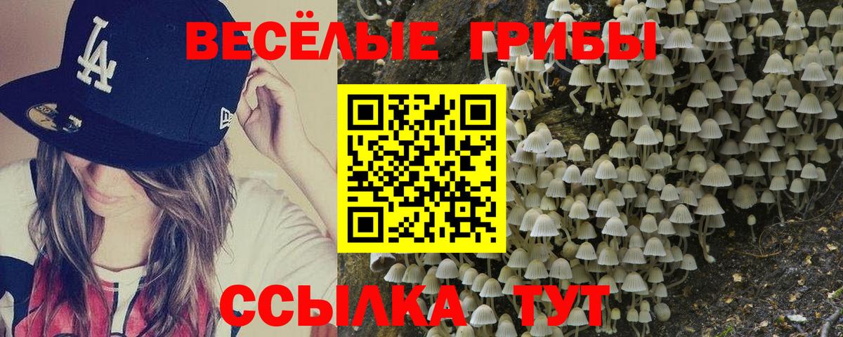 Псилоцибиновые грибы GOLDEN TEACHER  Вход с VPN  Чебоксары 