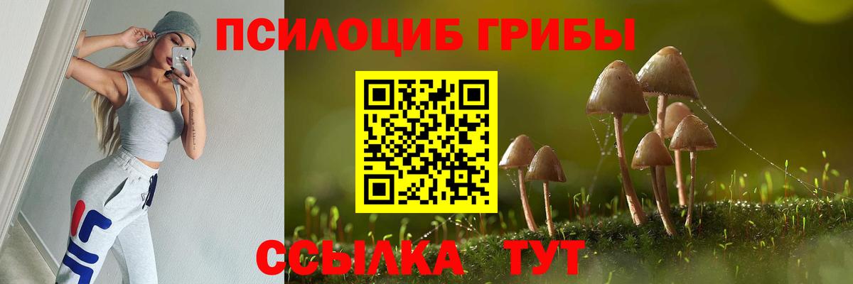 Галлюциногенные грибы GOLDEN TEACHER Чебоксары